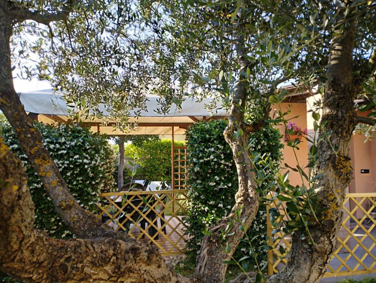 Вилла Melody House - Dependance Castel del Bosco  Экстерьер фото