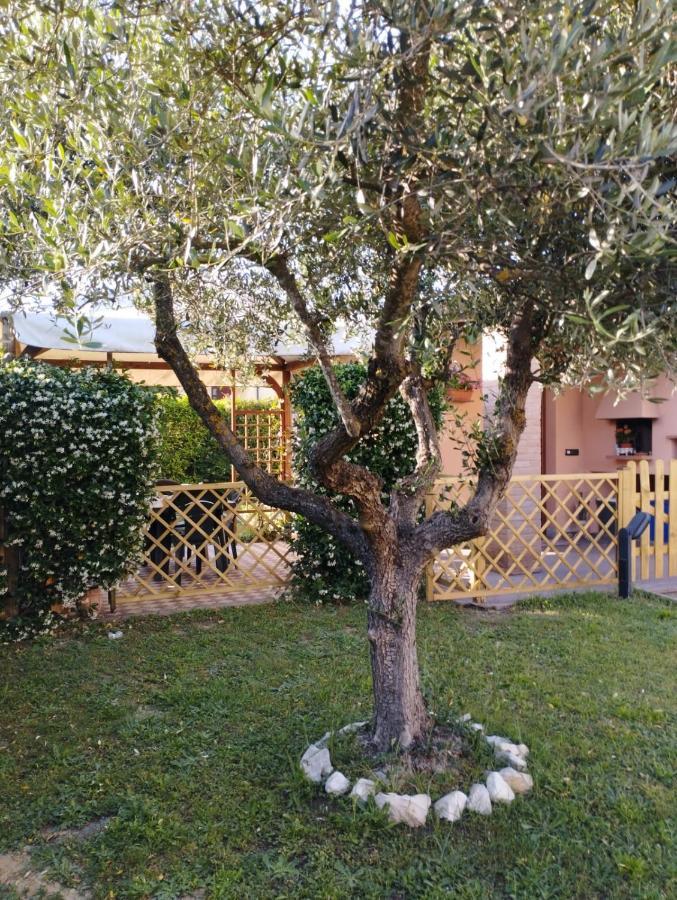 Вилла Melody House - Dependance Castel del Bosco  Экстерьер фото